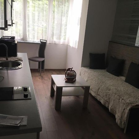 Apartment In The Center Of The Old City, Budzak 14 Сараево Экстерьер фото