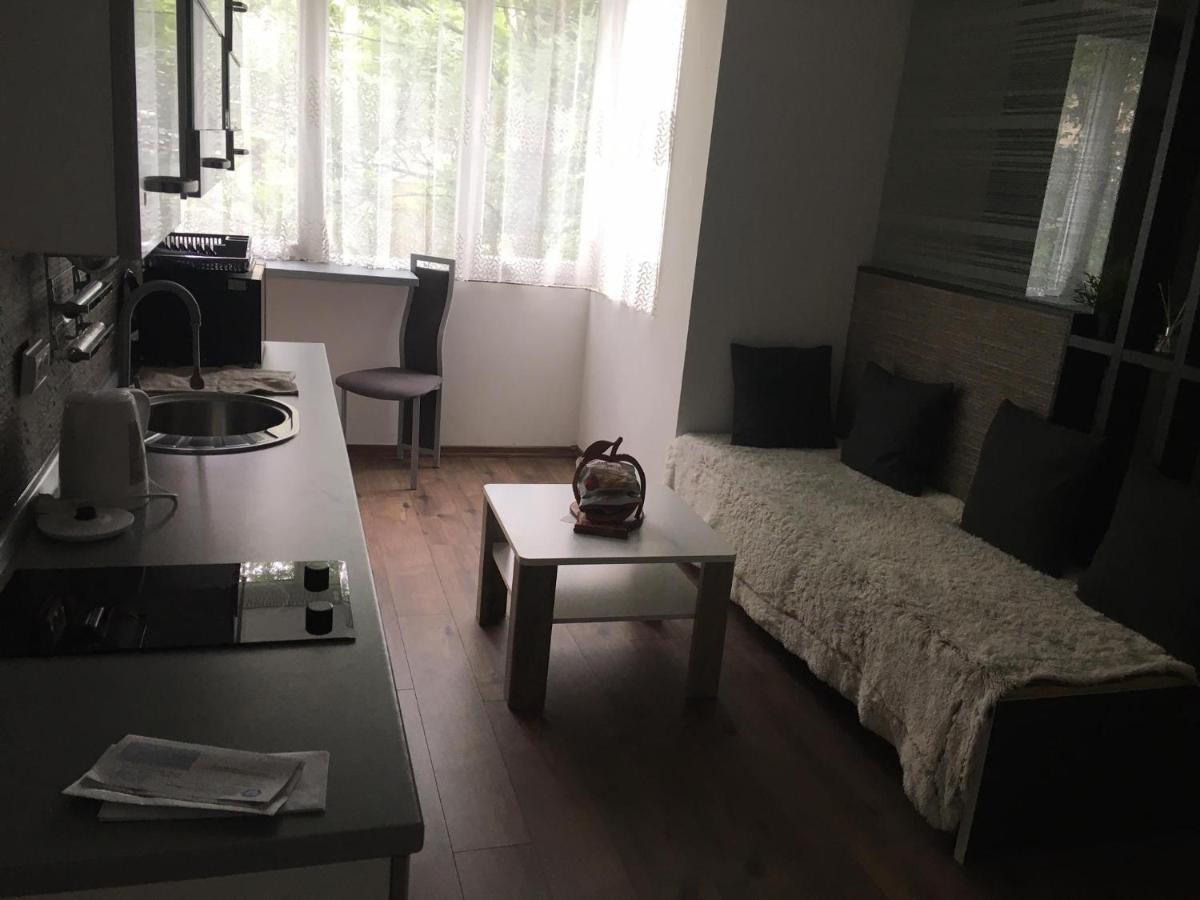 Apartment In The Center Of The Old City, Budzak 14 Сараево Экстерьер фото
